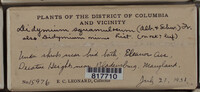 Image Associated With the Occurence